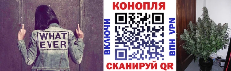 Сколько стоит Далматово АМФ  Alpha PVP  Галлюциногенные грибы  Гашиш  Cocaine  МЕТАМФЕТАМИН  МАРИХУАНА 
