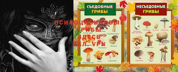 mdma Медвежьегорск