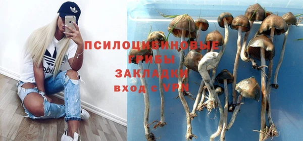 ешки Мегион