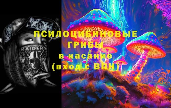 мяу мяу мука Медногорск