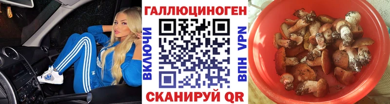 Галлюциногенные грибы Psilocybine cubensis  купить наркотики цена  Далматово 